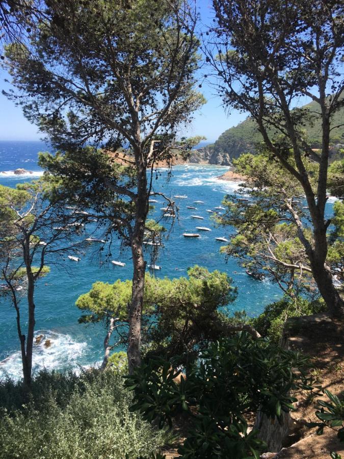 Ferienwohnung Cap Sa Sal Navy, Begur, Girona Exterior foto