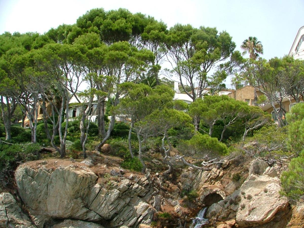 Ferienwohnung Cap Sa Sal Navy, Begur, Girona Exterior foto
